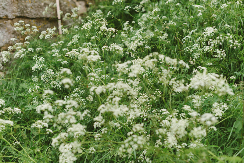 Bröllop Jugendsalen Jakobstad bröllopsfotograf Julia Lillqvist