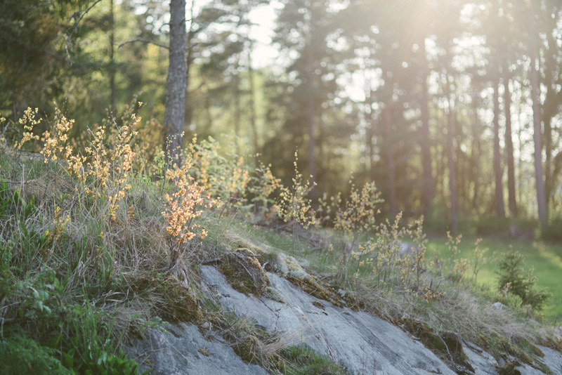 Kimito_brollopsfotograf_Julia_Lillqvist_fotograf_155