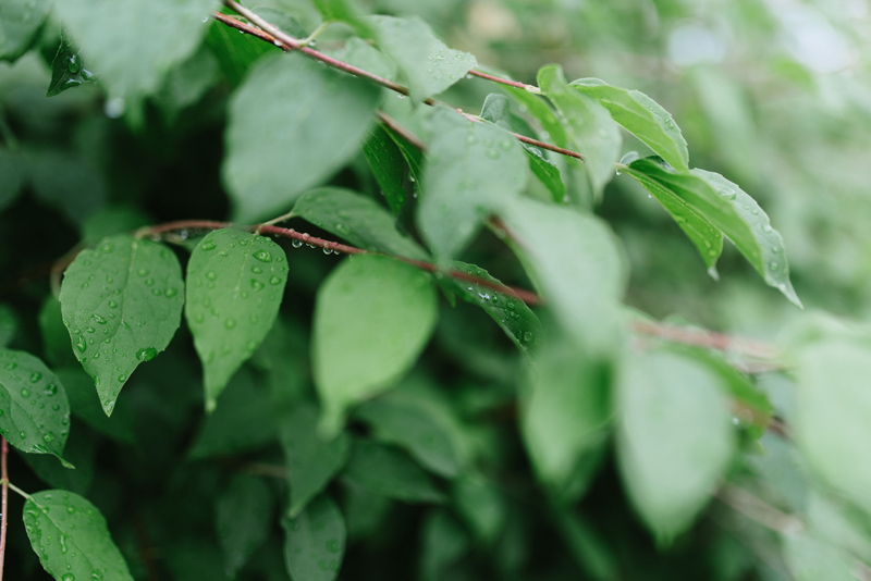 bröllop stundars korsholm vasa fotograf Julia Lillqvist