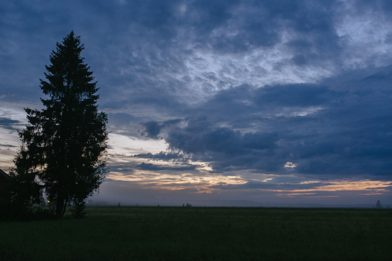 bröllop stundars korsholm vasa fotograf Julia Lillqvist