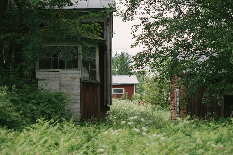 Förlovningsfotografering jakobstad fotograf Pedersöre Julia Lillqvist