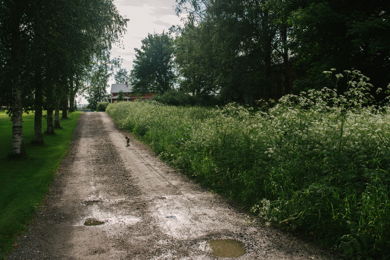 Förlovningsfotografering jakobstad fotograf Pedersöre Julia Lillqvist