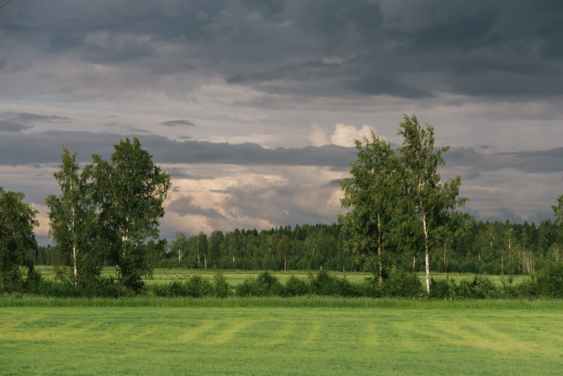 Förlovningsfotografering jakobstad fotograf Pedersöre Julia Lillqvist