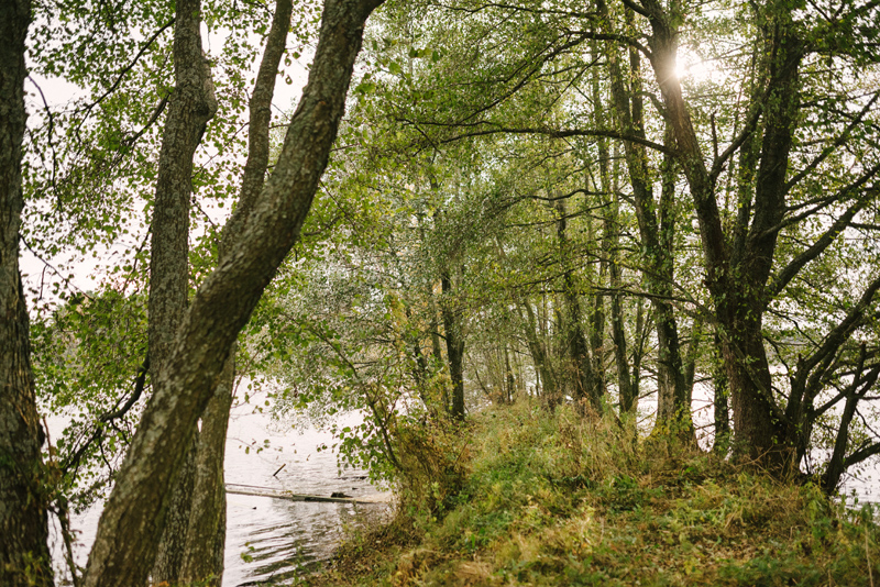 fotograf pargas familjefotografering åboland
