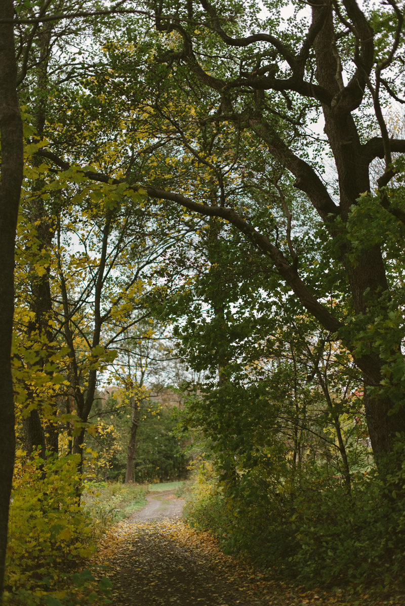 fotograf pargas familjefotografering åboland 