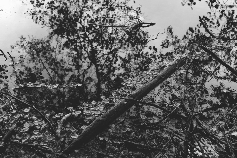 fotograf pargas familjefotografering åboland 