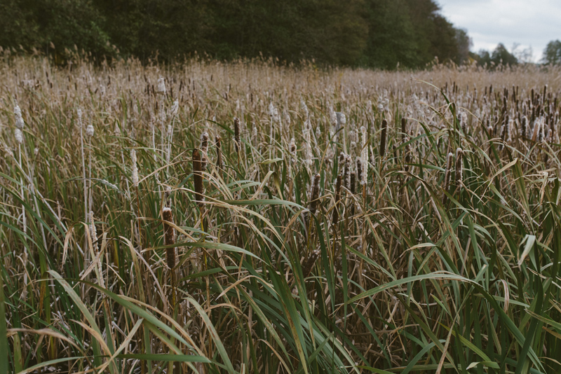 fotograf pargas familjefotografering åboland 