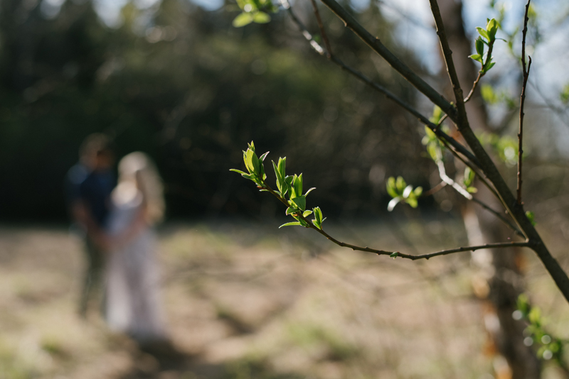 gravidfotografering Vasa fotograf Julia Lillqvist