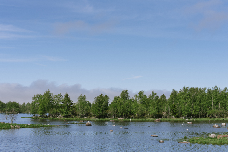 replot bröllopsfotograf vasa Julia Lillqvist