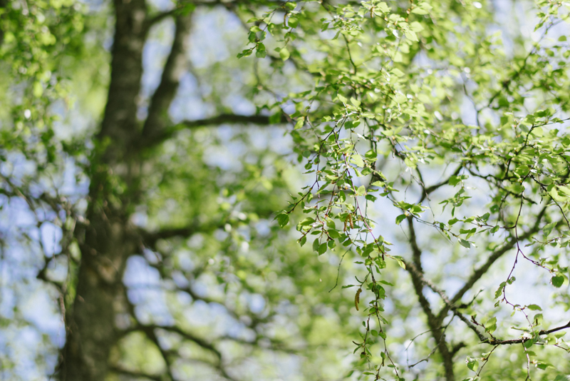 replot bröllopsfotograf vasa Julia Lillqvist