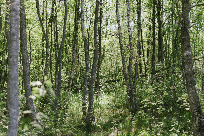 replot bröllopsfotograf vasa Julia Lillqvist