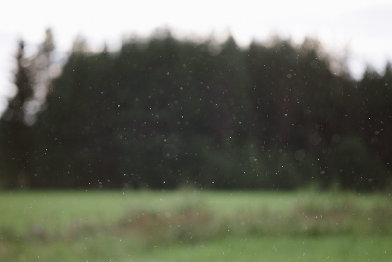 Finland Wedding Photographer Julia Lillqvist