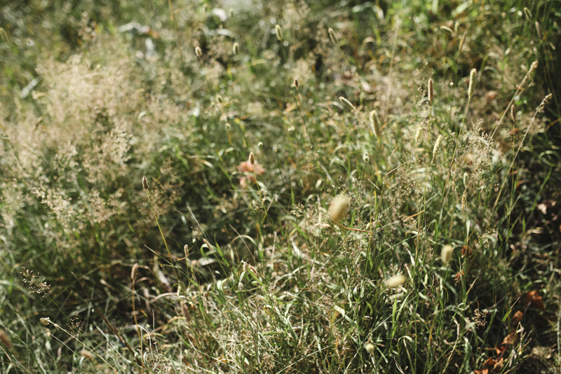 lifestyle familjefotografering perhekuvaus