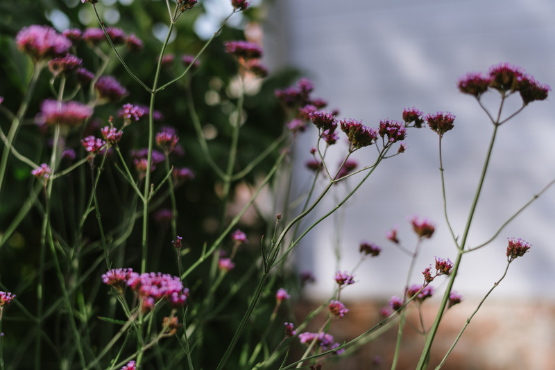 Åland Bröllopsfotograf