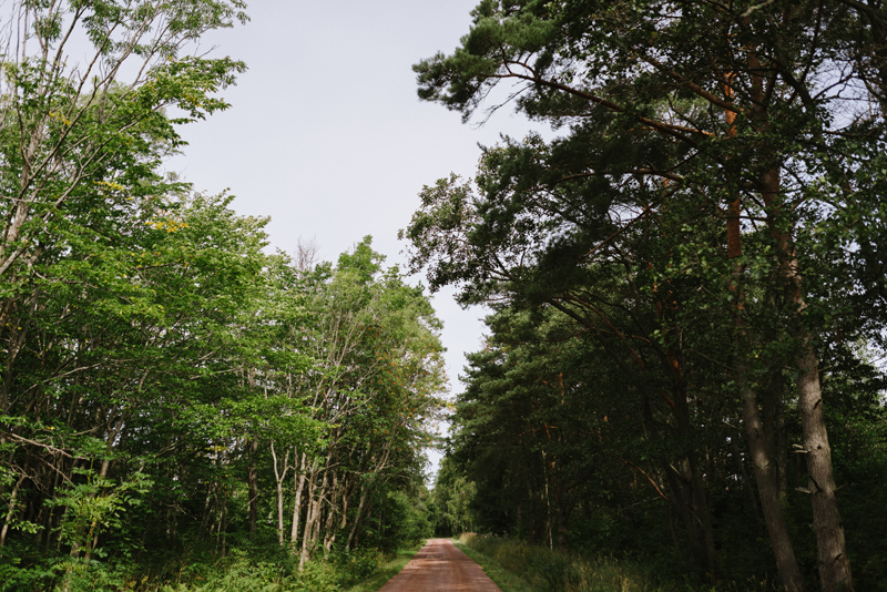 Åland Bröllopsfotograf