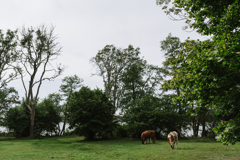 Åland Bröllopsfotograf