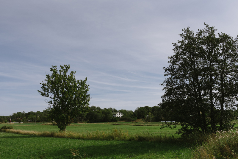 Åland Bröllopsfotograf