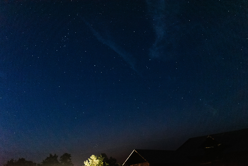 Åland Bröllopsfotograf
