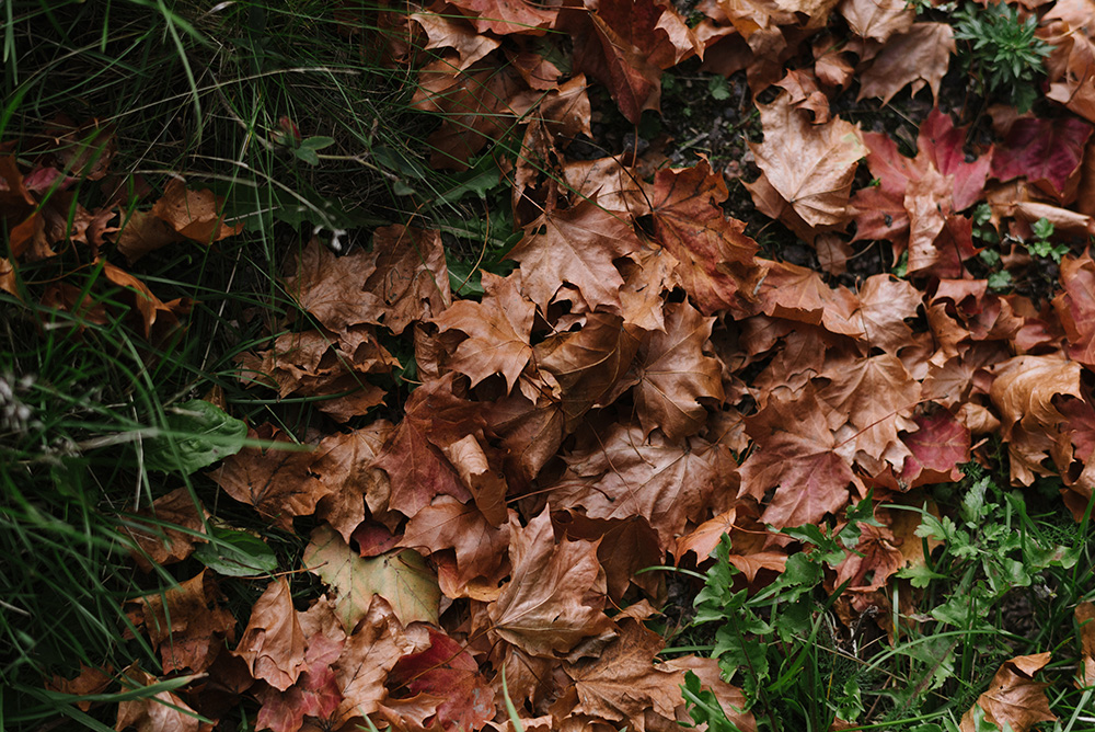 turku valokuvaaja häät kakola hotel