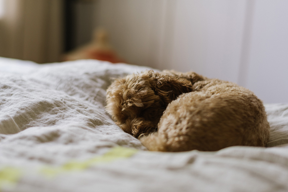 familfefotografering vasa fotograf vaasa perhekuvaus