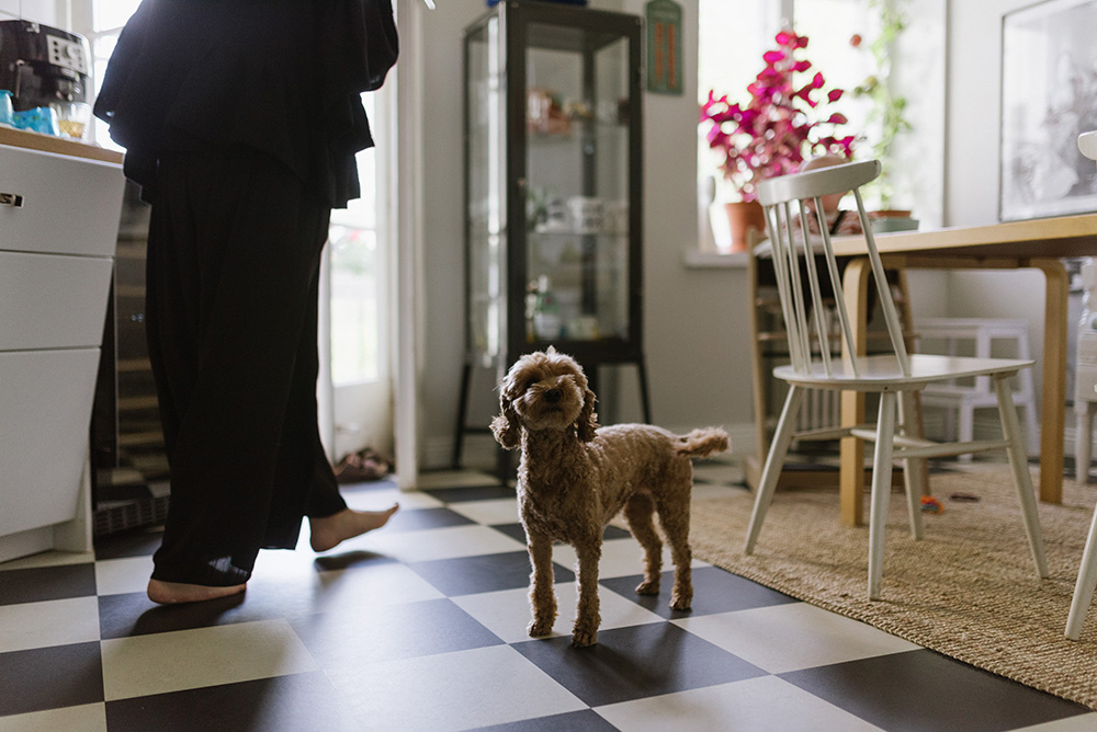 familfefotografering vasa fotograf vaasa perhekuvaus