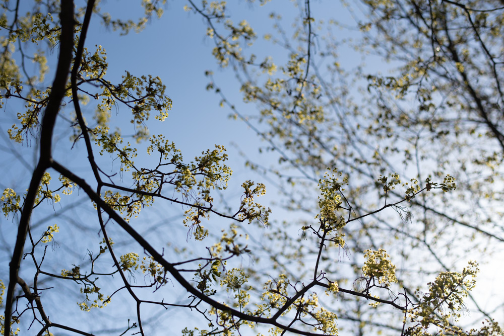Åbo fotograf pargas fotografering