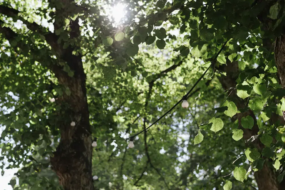 Åbo bröllopsfotograf Åland