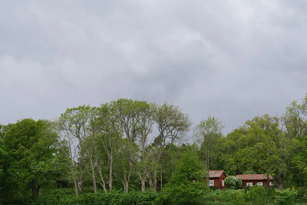 valokuvaaja Turku fotograf Julia Lillqvist