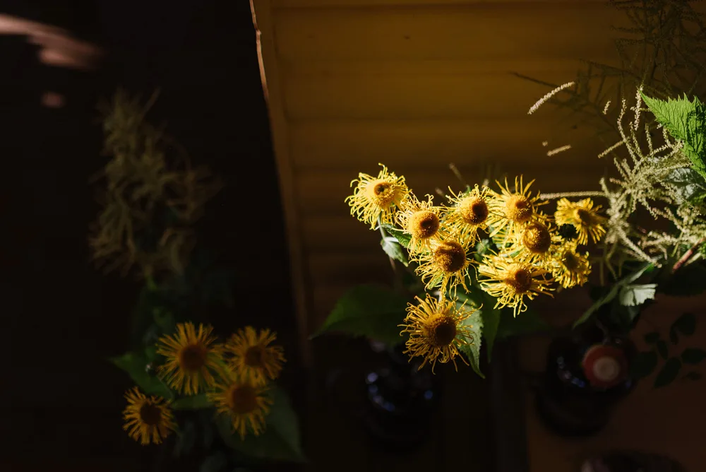 valokuvaaja Turku fotograf Julia Lillqvist