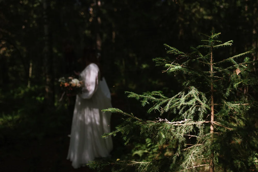 magisk skog brudpar fotografering