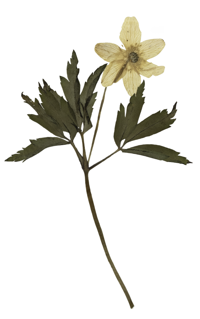 Dsd_2193-edit2 | turku wedding photographer julia lillqvist By turku photographer julia lillqvist