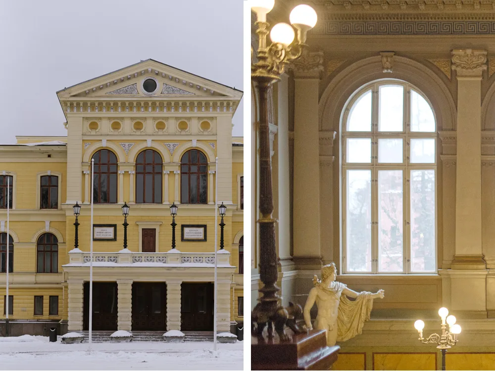 förlovningsfotografering vasa