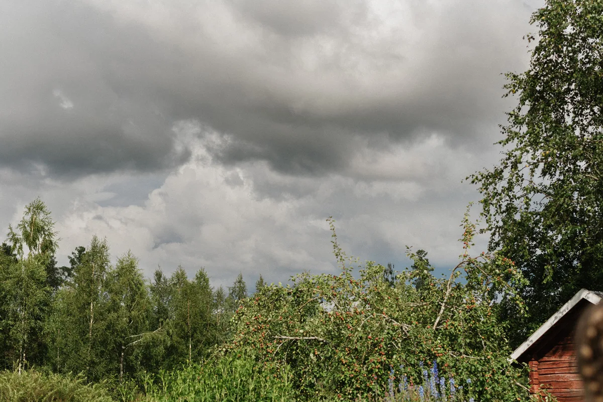 hållbart bröllop inspiration 