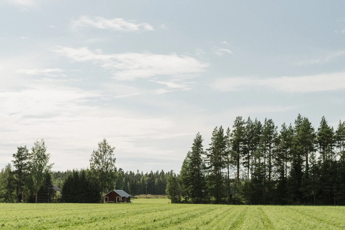 trädgård bröllop inspiration bröllopsfest hemma