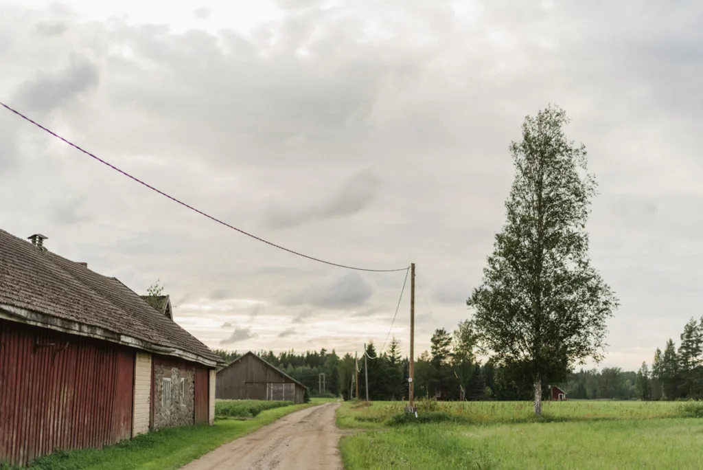 trädgård bröllop inspiration bröllopsfest hemma