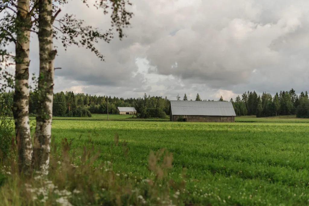 trädgård bröllop inspiration bröllopsfest hemma