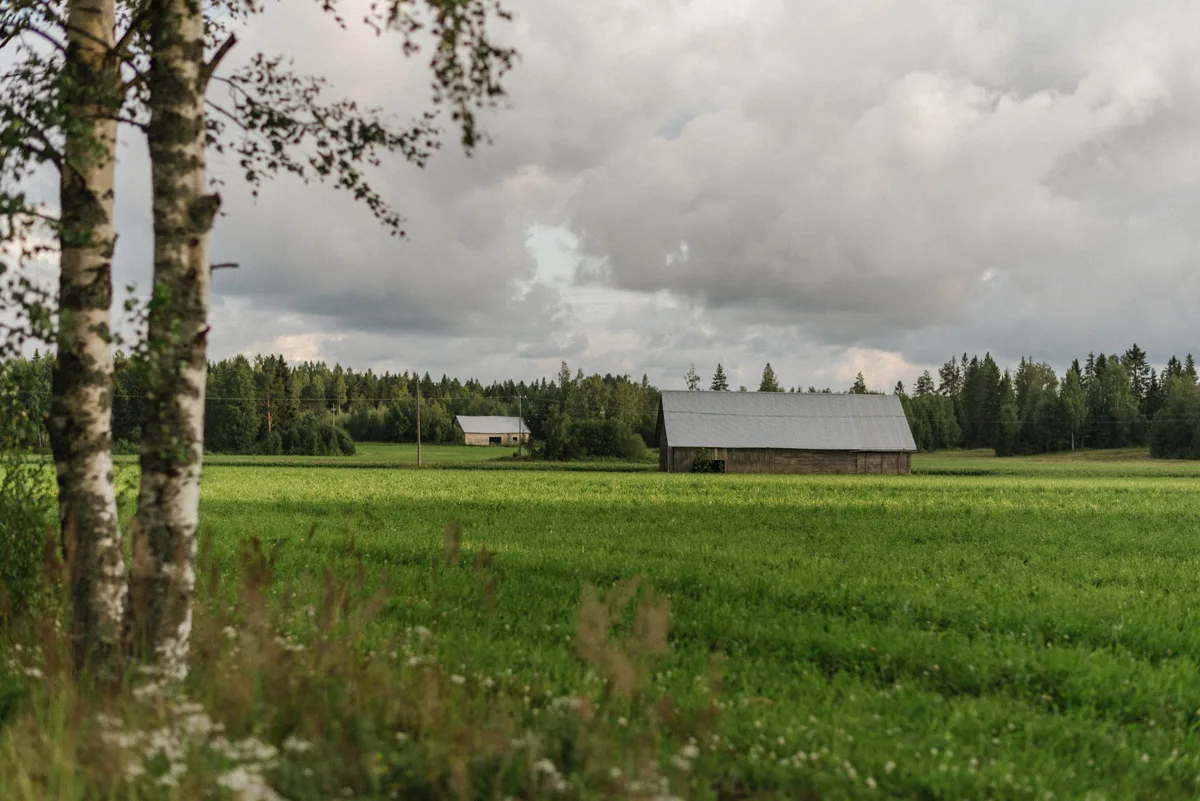 trädgård bröllop inspiration bröllopsfest hemma