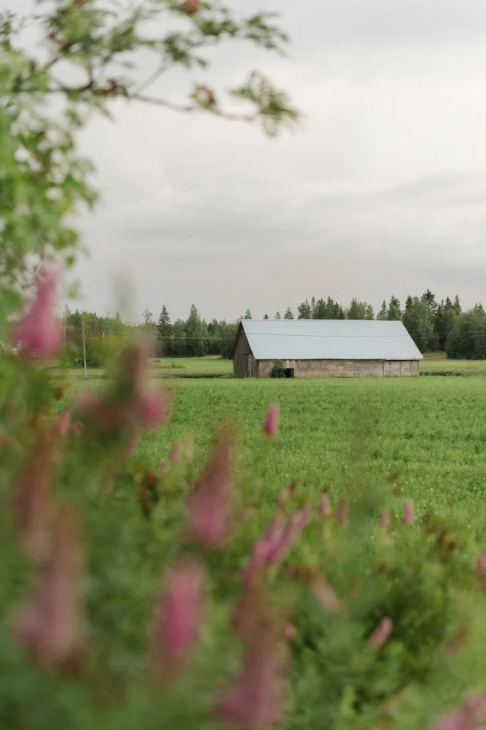 bröllopsfestival personligt bröllop hemma på gården