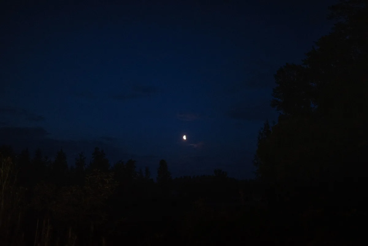 bröllopsfestival personligt bröllop hemma på gården