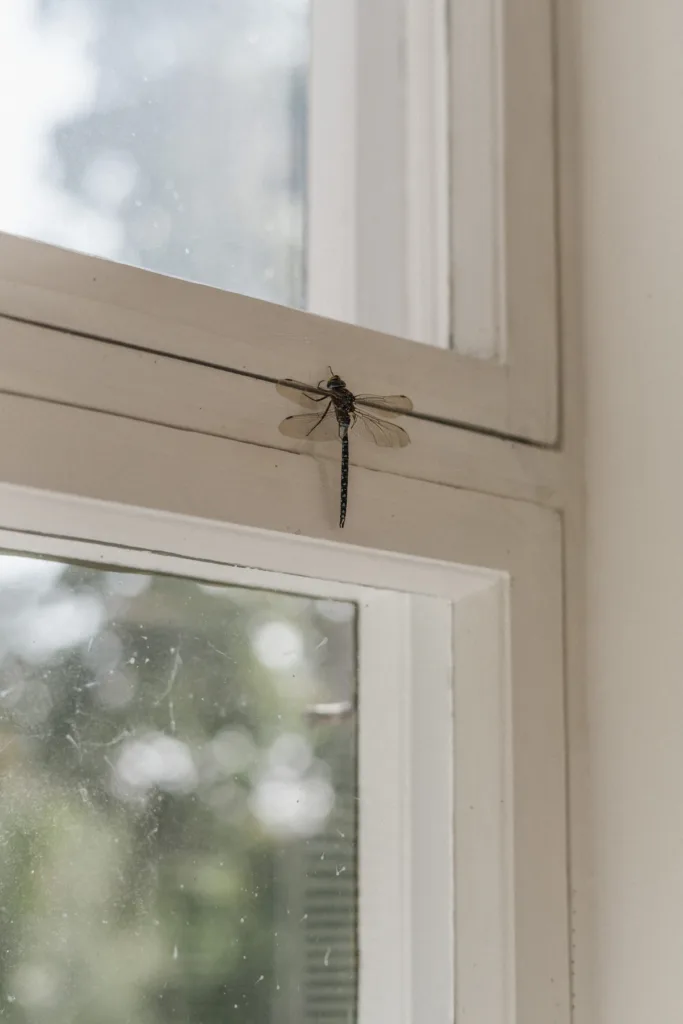 valokuvaaja vaasa villa sandviken