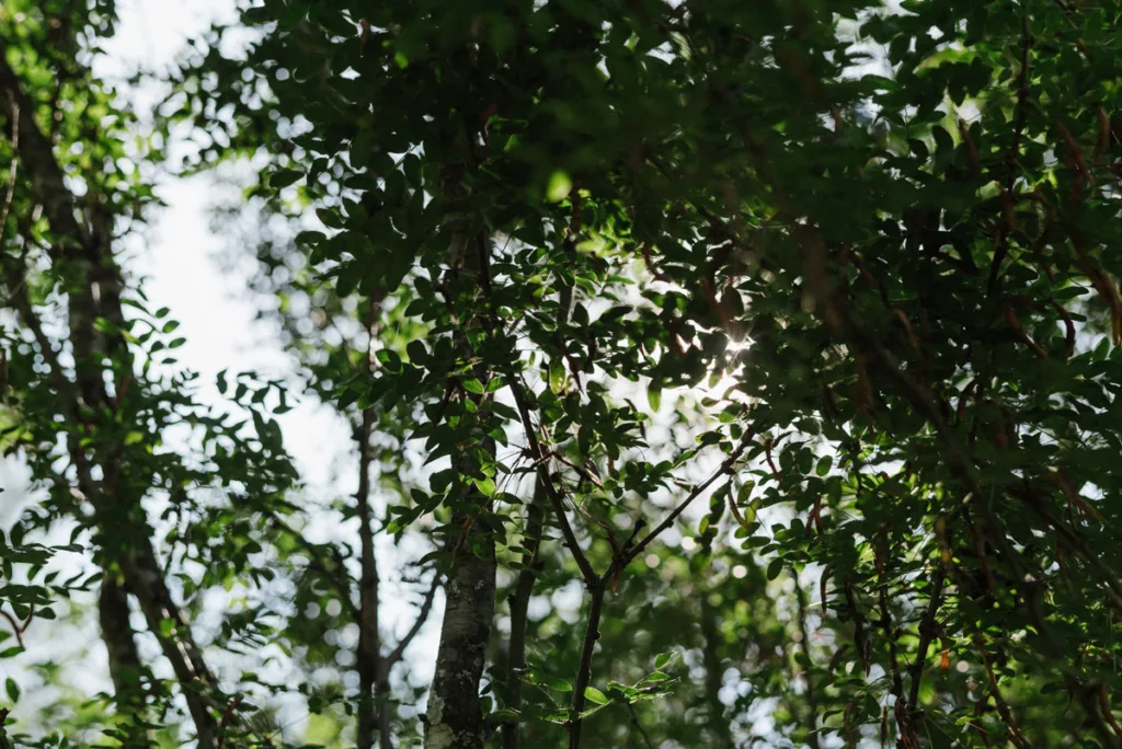 valokuvaaja vaasa villa sandviken