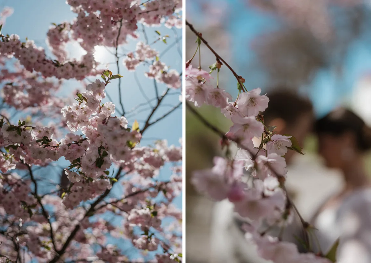 turku hääkuvaaja kevät häät