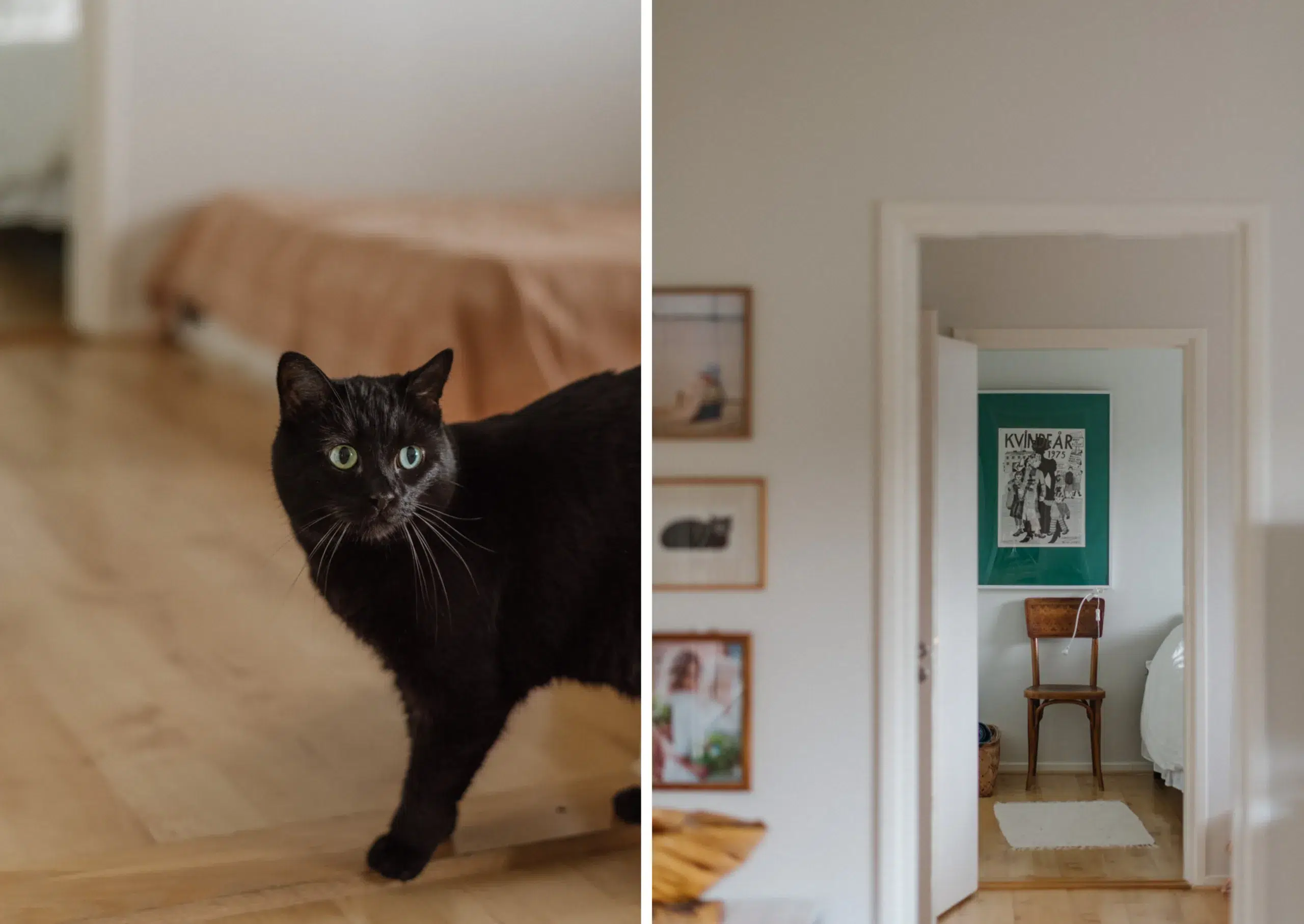 familjefotograferingpargas fotograf vasa